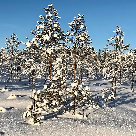 Sieri House * Rovaniemi