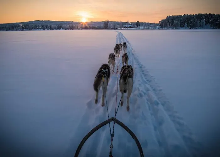 Sieri House Rovaniemi