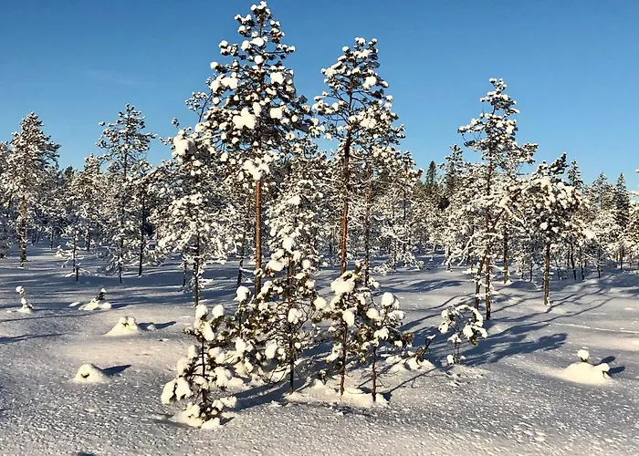 Sieri House * Rovaniemi